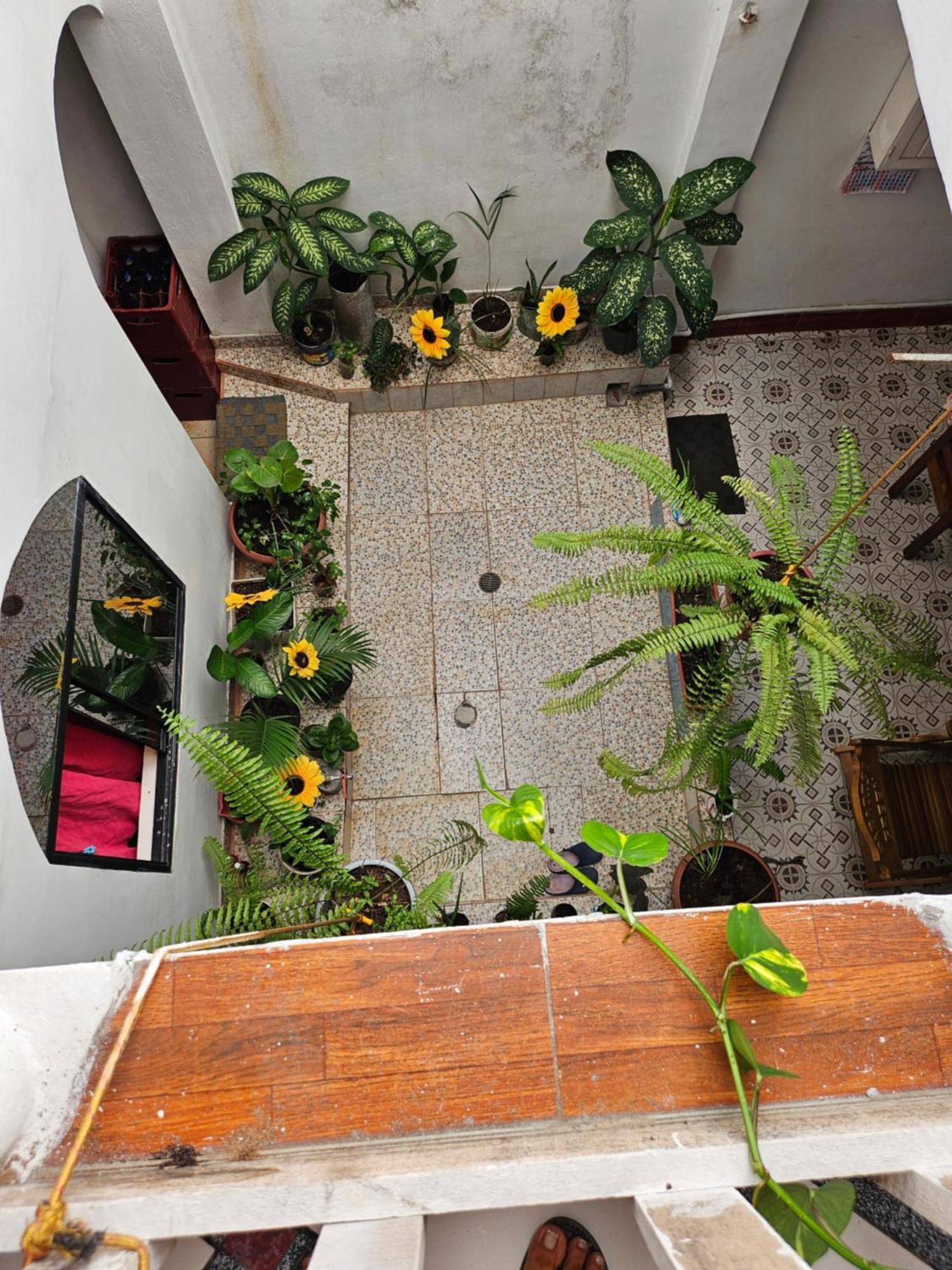Hotel Sarisa House Iquitos Esterno foto
